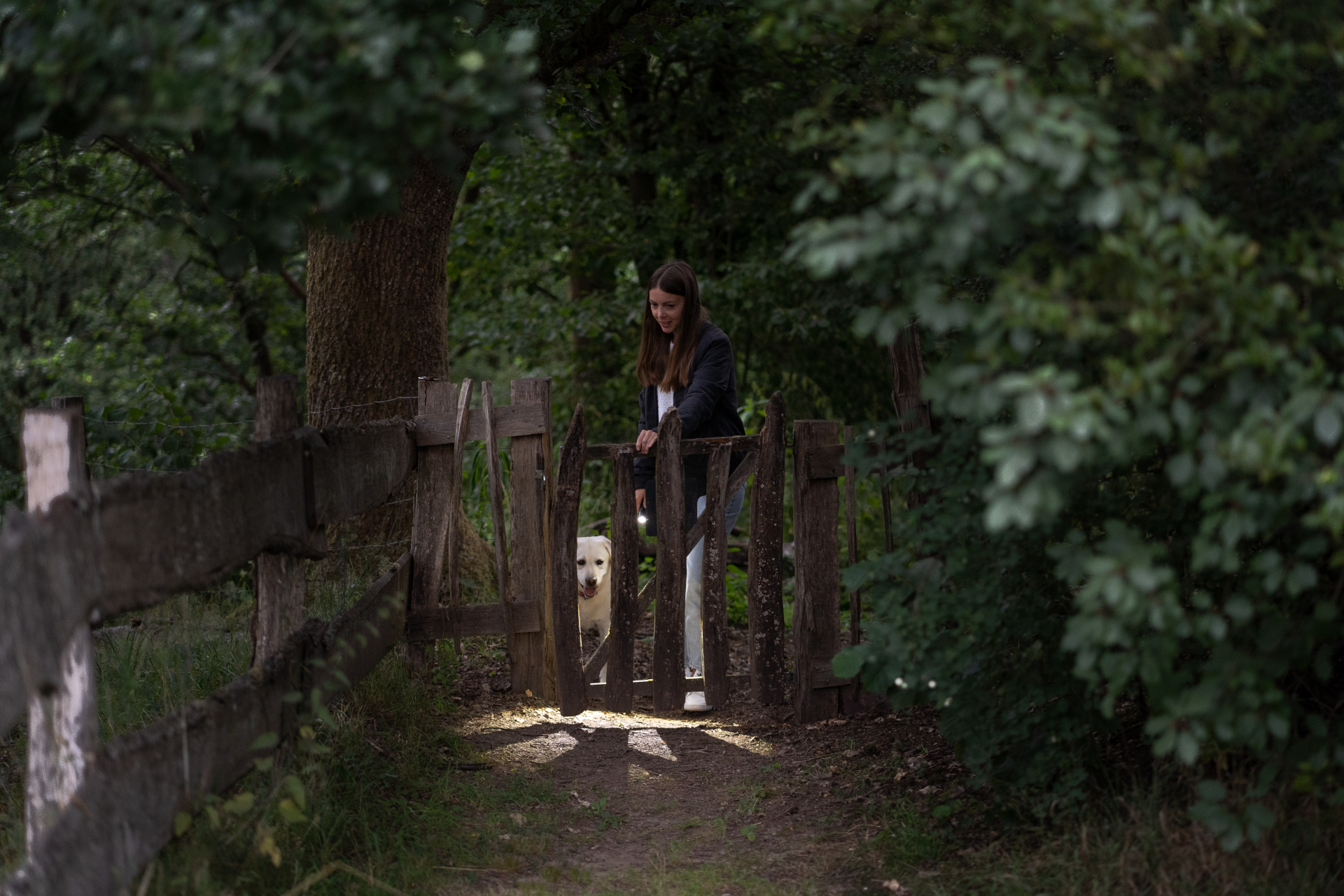 LAMPE P5R CORE 500 LUMEN – Image 4